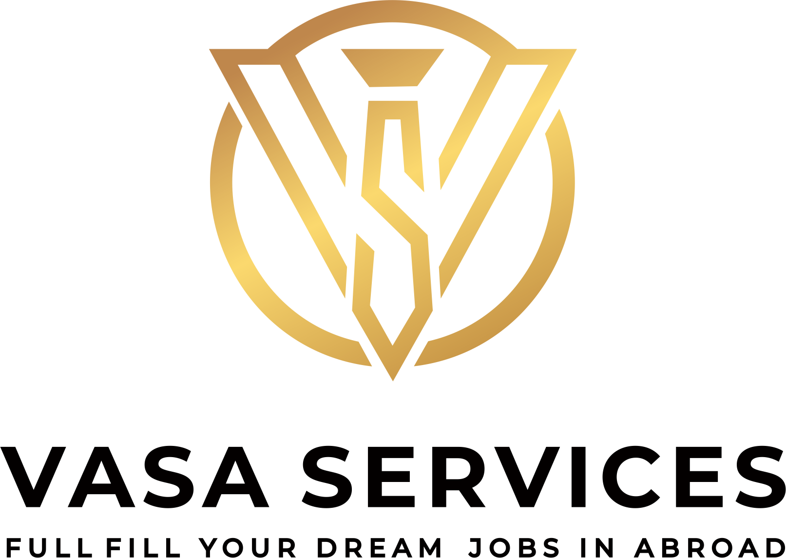 Vasa Services